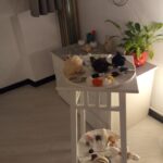 laboratorio di counseling espressivo