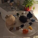 laboratori di counseling espressivo presso e sona mo